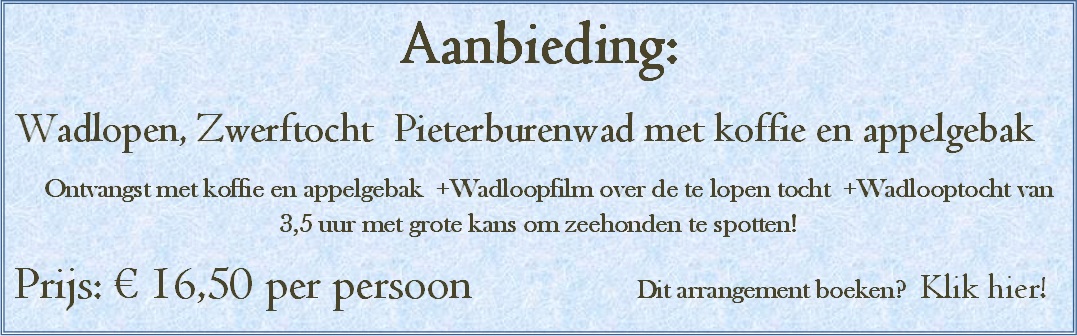 Aanbieding wadlopen pieterburenwad