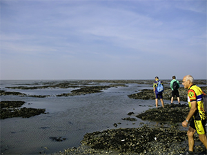 Ameland tocht 04