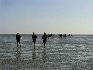 veerboot Ameland 06