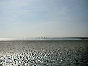 schiermonnikoog 02