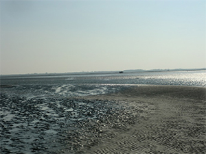 schiermonnikoog 03