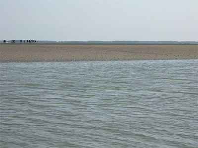 schiermonnikoog 04