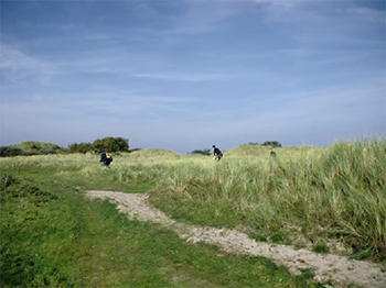 bus Ameland 07