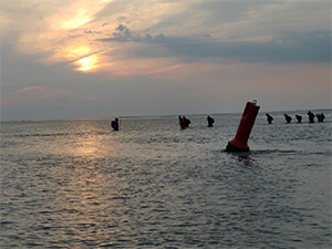 schiermonnikoog 01